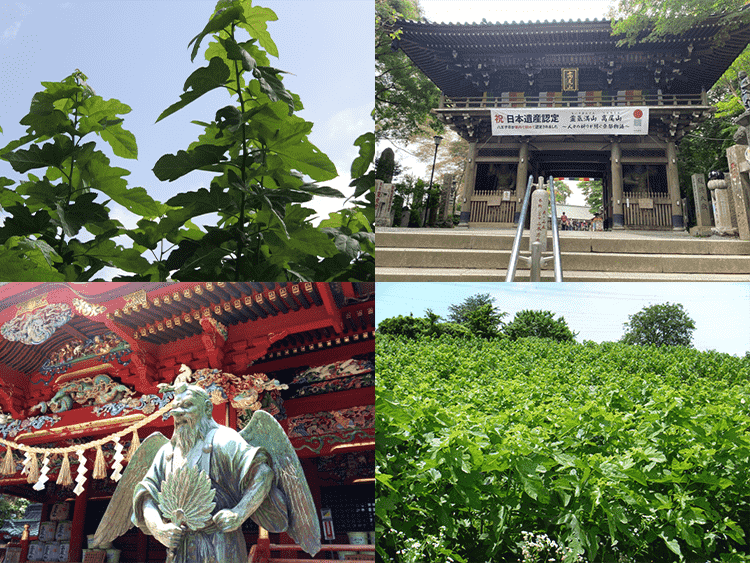 「2020日本遺産スペシャル」霊気満山 高尾山 ～人々の祈りが紡ぐ桑都物語～にて桑都が紹介されました