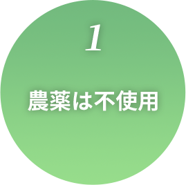 1.農薬は不使用