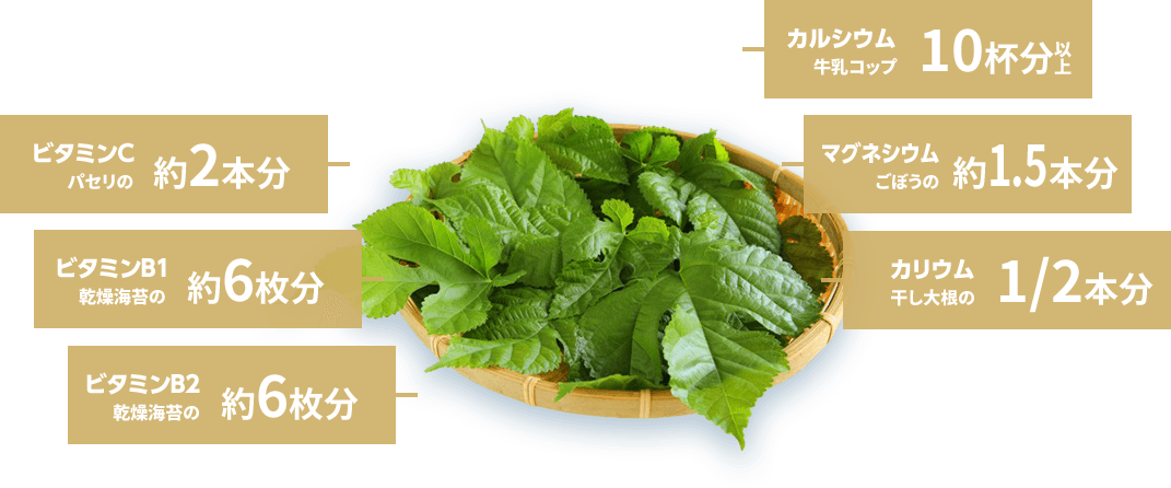 ビタミンC パセリの約2本分 ほか