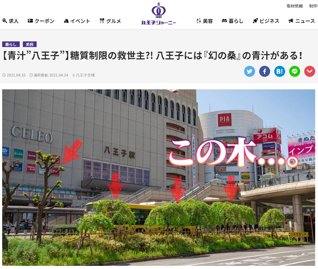 桑の青汁「創輝王」が八王子ジャーニーで紹介されました